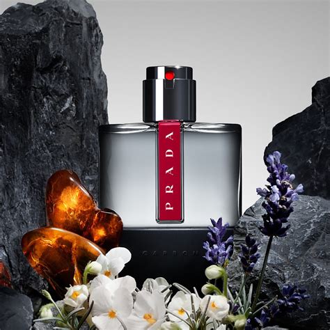 colognes like prada luna rossa|prada luna rossa carbon sephora.